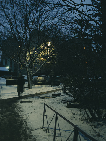 Winter evening, walk under the lanterns, yards