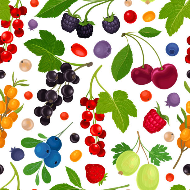 ベリーブランチシームレスパターンデザインと甘いおいしい庭の作物ベクター画像テンプレート - currant berry fruit black vector点のイラスト素材／クリップアート素材／マンガ素材／アイコン素材