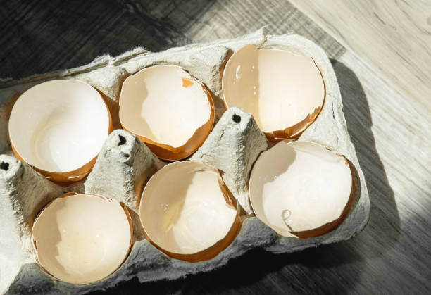 Half a dozen empty broken eggshells in paper carton cardboard on a wooden table with natural sunlight, top view. Closeup group of cracked shells in recycling package. Fragility, divided, brittle concept.