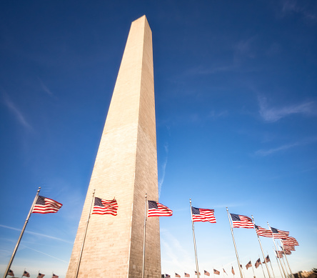 A wide angle view of the Washington Memporial in Washington DC, surrounded by a circle of American flags, flying in the springtime wind.