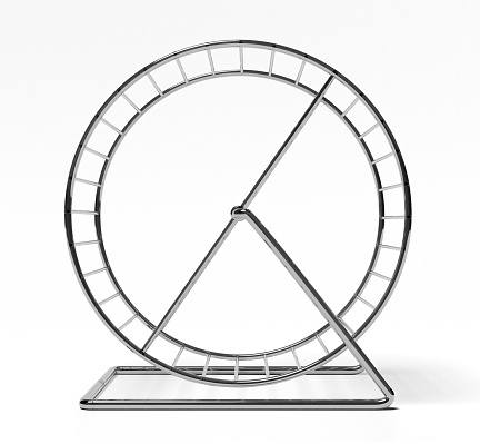 Silver hamster wheel for exercise perfect side view