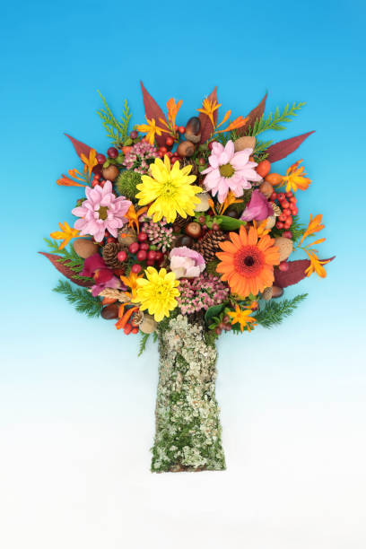 istock Surreal Thanksgiving Nature Autumn Fall Tree Design 1519945596