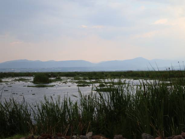 istock environment and natural protected areas in Mexico 1519945852