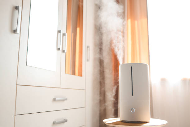 istock Modern air humidifier on table in living room. Space for text 1519982204