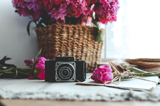 retro photo camera with book and fresh pink peony flowers.