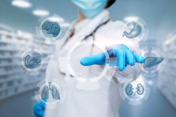 istock Doctor works on a virtual screen with internal organs. 1519995434