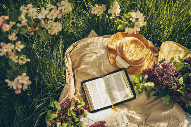 istock Open bible in the garden, christian concept 1520002970
