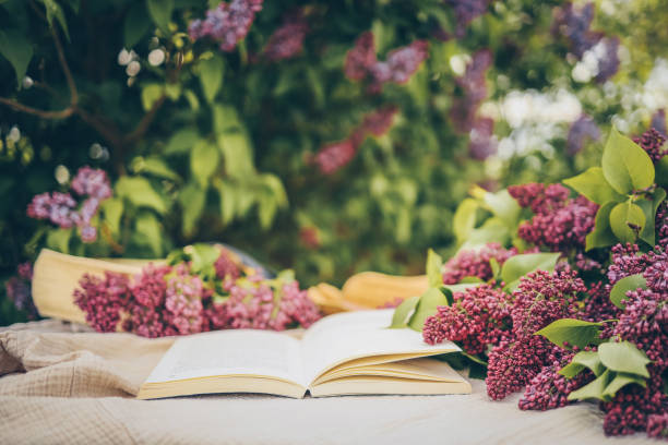Open book in the grass on the field on sunny day in spring. Reading and knowledge concept.