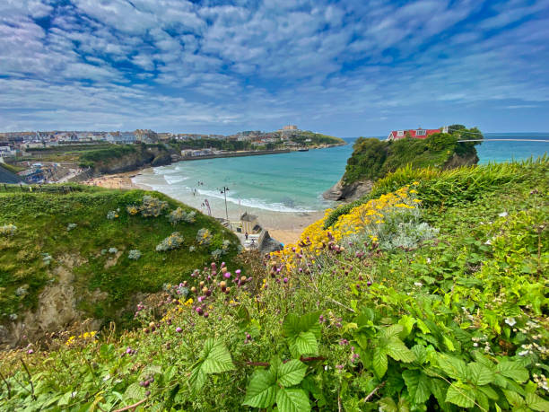 istock Newquay beach and coast in Cornwall 1520046925