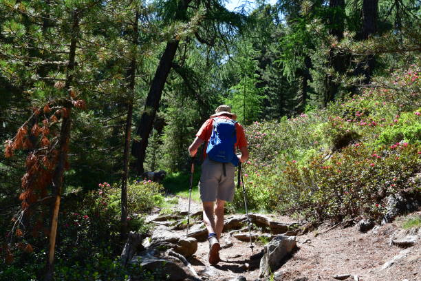 istock Man hiking in Southtyrol 1520056461