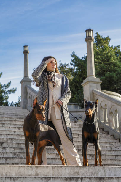 istock Girl with dogs 1520063929
