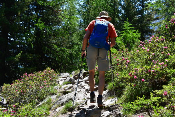 istock Man hiking in Southtyrol 1520065793
