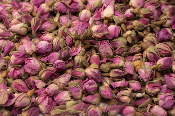 istock Dry tea roses isolated on white background. 1520066546