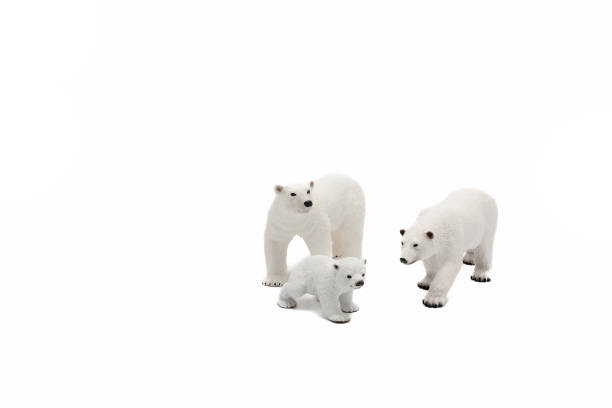 Polar bear family toy figures with white background