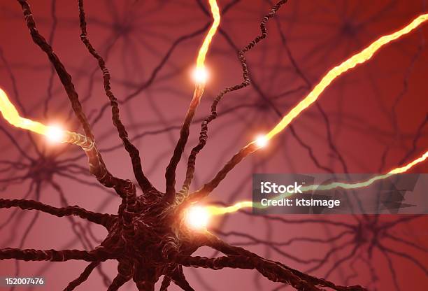 Нервная Клетка Пульса — стоковые фотографии и другие картинки Вегетативная нервная система - Вегетативная нервная система, Периферическая нервная система, Autoreceptor