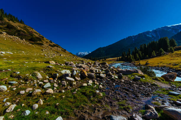 paisaje de valle otoñal con río de montaña - 11981 fotografías e imágenes de stock