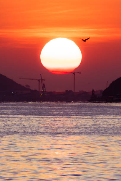 Shot at Whampoa Promenade, Hong Kong 2021. 01.   02