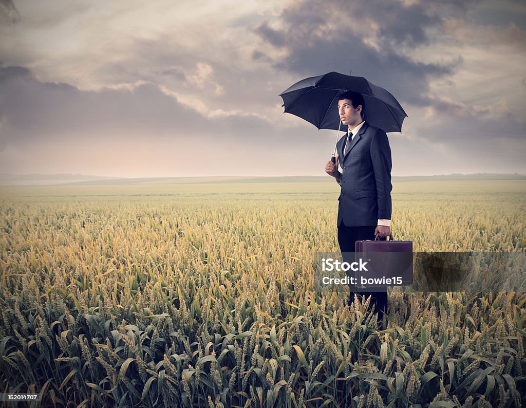 Crisis African businessman with umbrella standing on a wheat field under stormy weather Adult Stock Photo