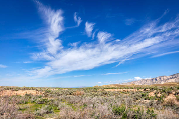 istock Panoramic Desert Landscape and Cloudscape Colorado 1520161047