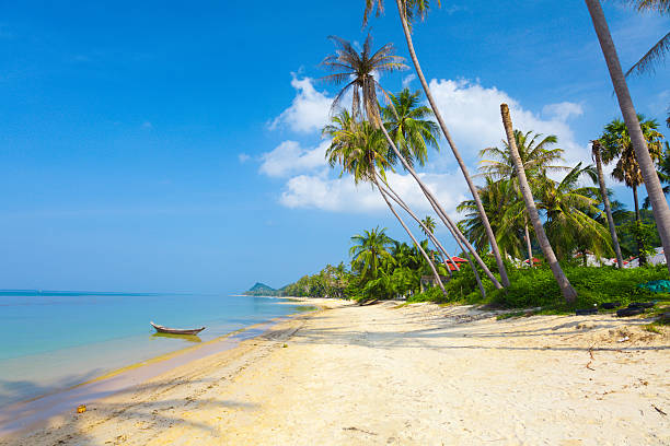 istock beach with coconut palm and sea 152018434