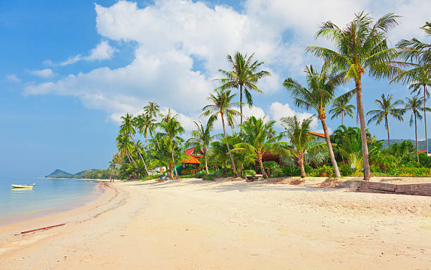 istock beach with coconut palm and sea 152018436