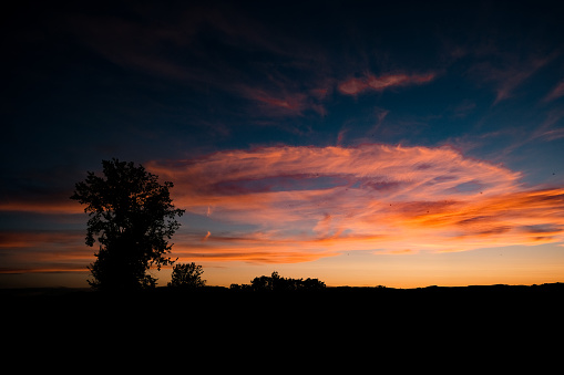 Dramatic sky at dusk with few bushes in silhouette