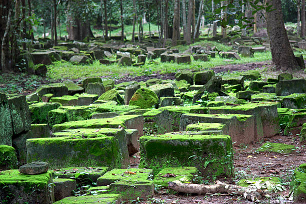 Ruins of Angkor Wat stock photo