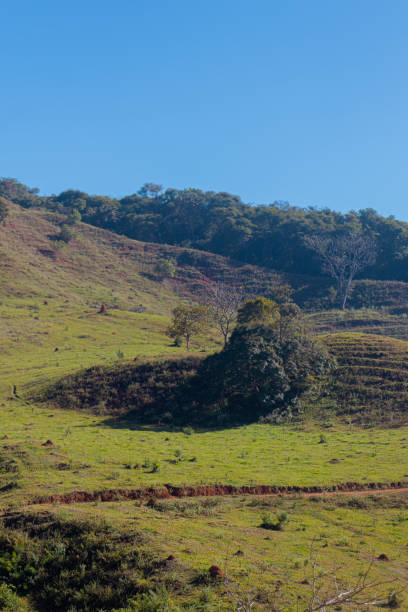 istock Sunny Serenity: A Landscape of Green Fields and Blue Skies 1520216179