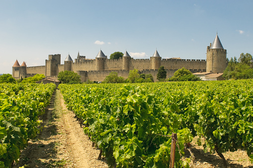 Medieval town of Carcassonne and vineyards