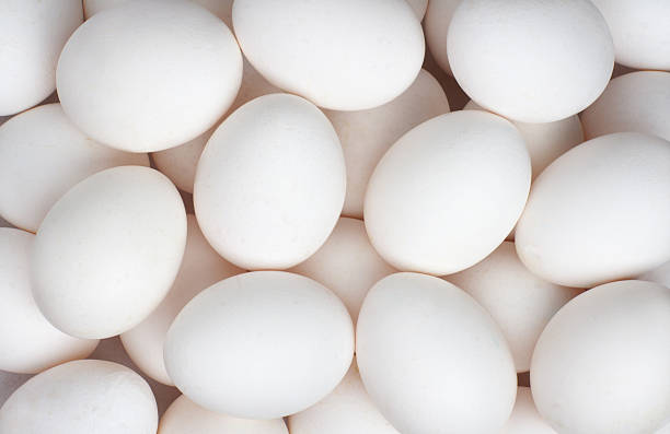 eggs backgroung a lot of white eggs as a background egg food photos stock pictures, royalty-free photos & images