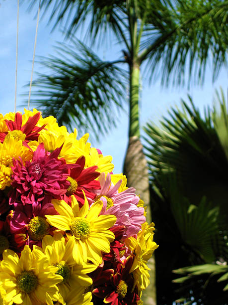 Flowers and palms of Sentosa Island stock photo