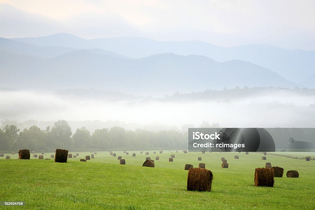 Feno fardos encontra em Montanhas - Royalty-free Agricultura Foto de stock