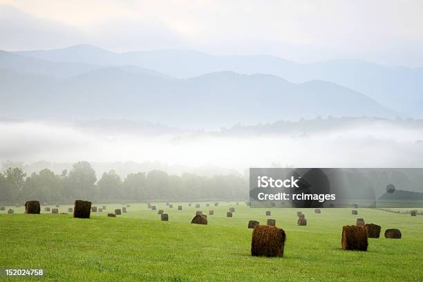 Feno Fardos Encontra Em Montanhas - Fotografias de stock e mais imagens de Agricultura - Agricultura, Ao Ar Livre, Appalachia