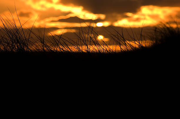 Sunset in the dunes stock photo
