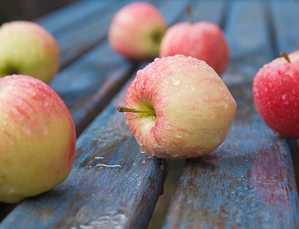 wet red apples wet red apples on a old blue garden table fall picnic table stock pictures, royalty-free photos & images