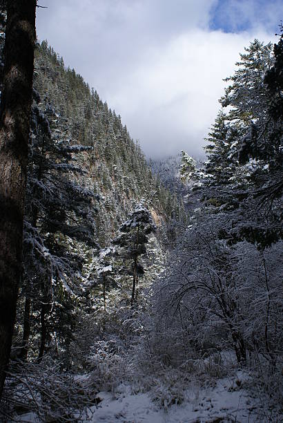 istock Jiuzhaigou Valley in Winter 152027082