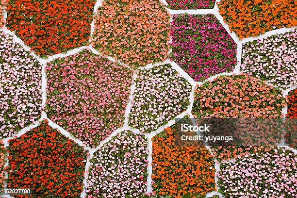 Blumewand Stockfoto und mehr Bilder von Bildhintergrund - Bildhintergrund, Blume, Blumenbouqet