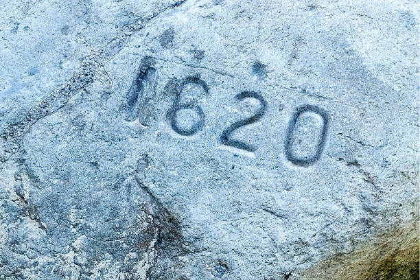 plymouth rock detalhe - plymouth rock - fotografias e filmes do acervo