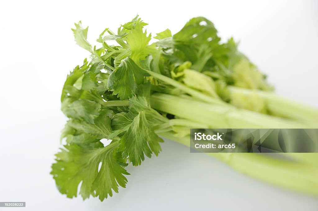 celery Fresh green celery wegetable on white background Antioxidant Stock Photo