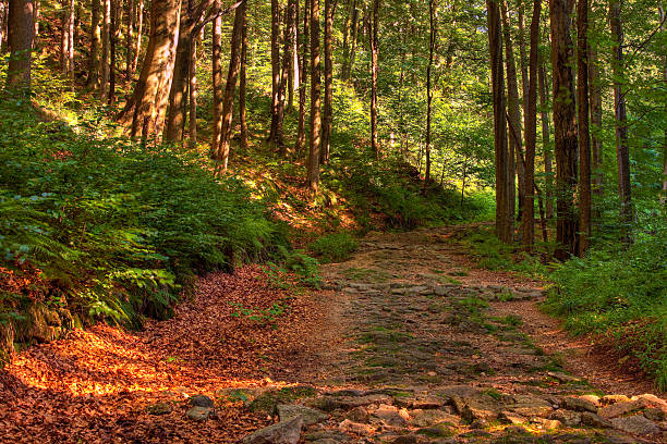 Nature background with old stony road stock photo