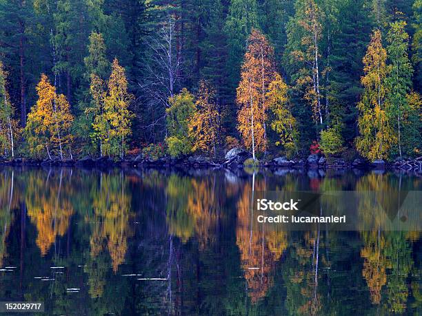 Reflections Stock Photo - Download Image Now - Autumn, Birch Tree, Color Image