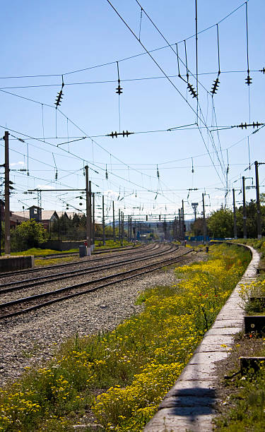 train line stock photo