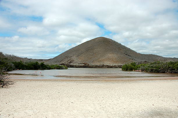 Pink Flamingo lagoon on Floreana Island,Galapagos.
