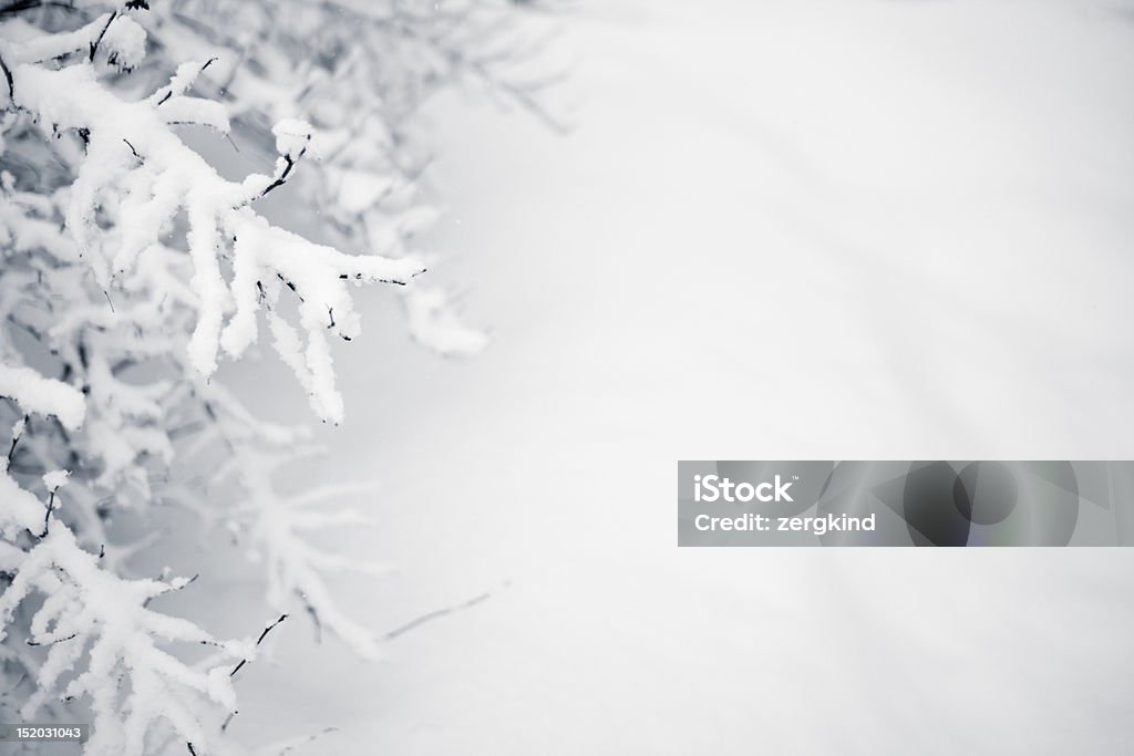 Winter - - Lizenzfrei Schneien Stock-Foto