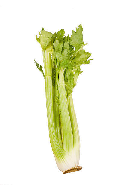 istock Stalk of green celery isolated on white 152031101