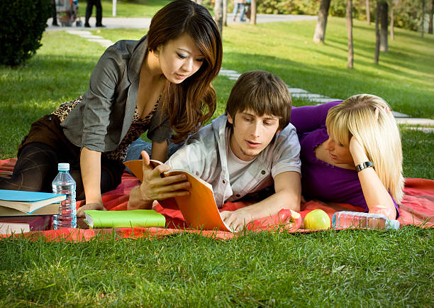 International friends studing together stock photo