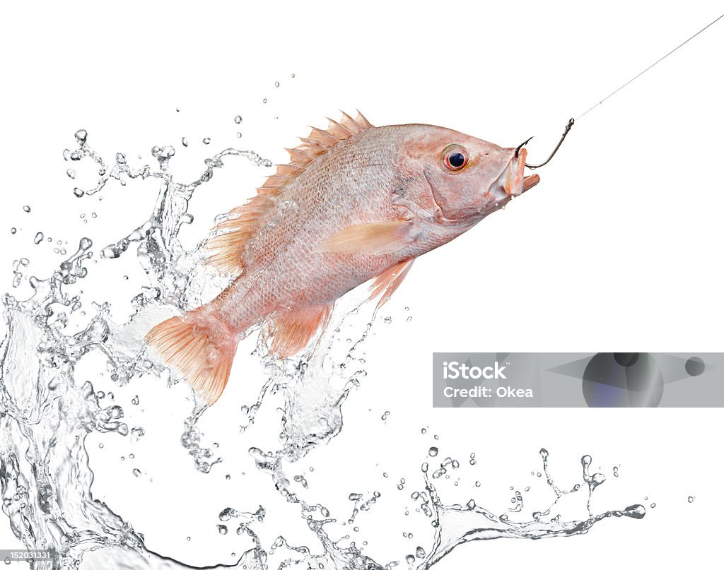 La pesca - Foto stock royalty-free di Acqua