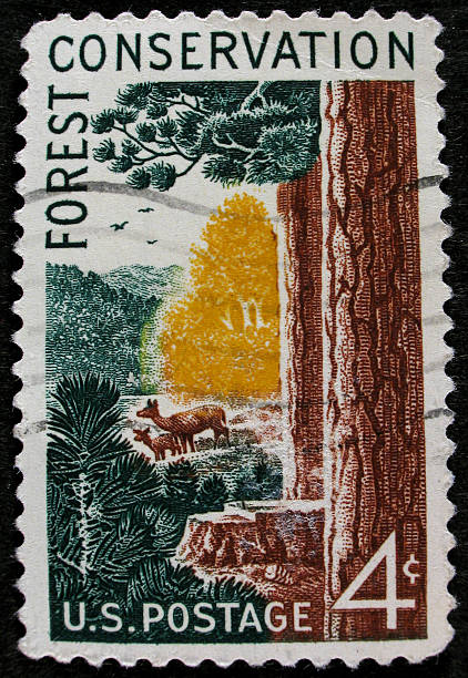 istock USA Forest Conservation stamp 152031459
