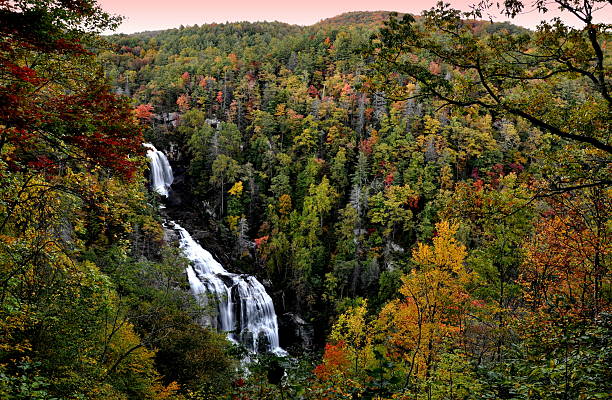 rivière whitewater falls. feuilles de couleurs. - rapid appalachian mountains autumn water photos et images de collection