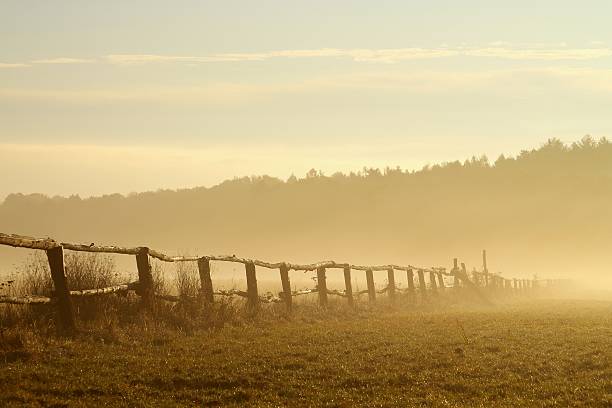 istock Misty autumn sunrise over the field 152032239